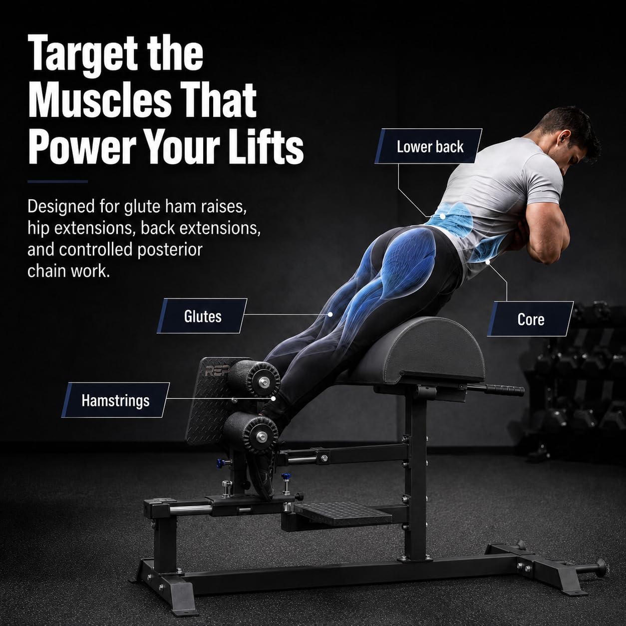 Amazon.com: REP Fitness Glute Ham Developer, Commercial Grade GHD